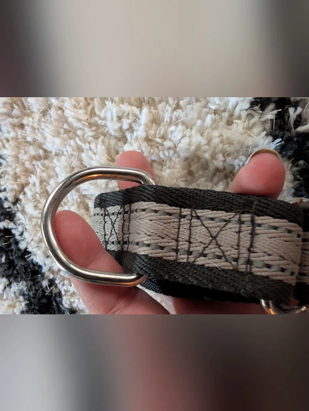 Gray And Black Dog Collar